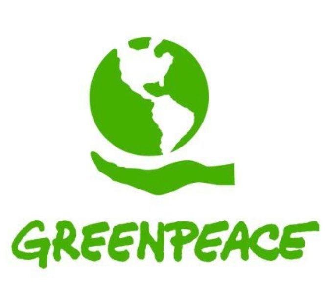 En este momento estás viendo Los bosques del sur del país mueren frente a nuestros ojos